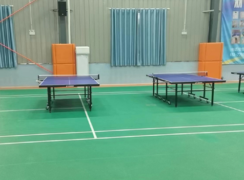 赛前热身@武汉仙女山体育中心乒乓球友谊赛热身